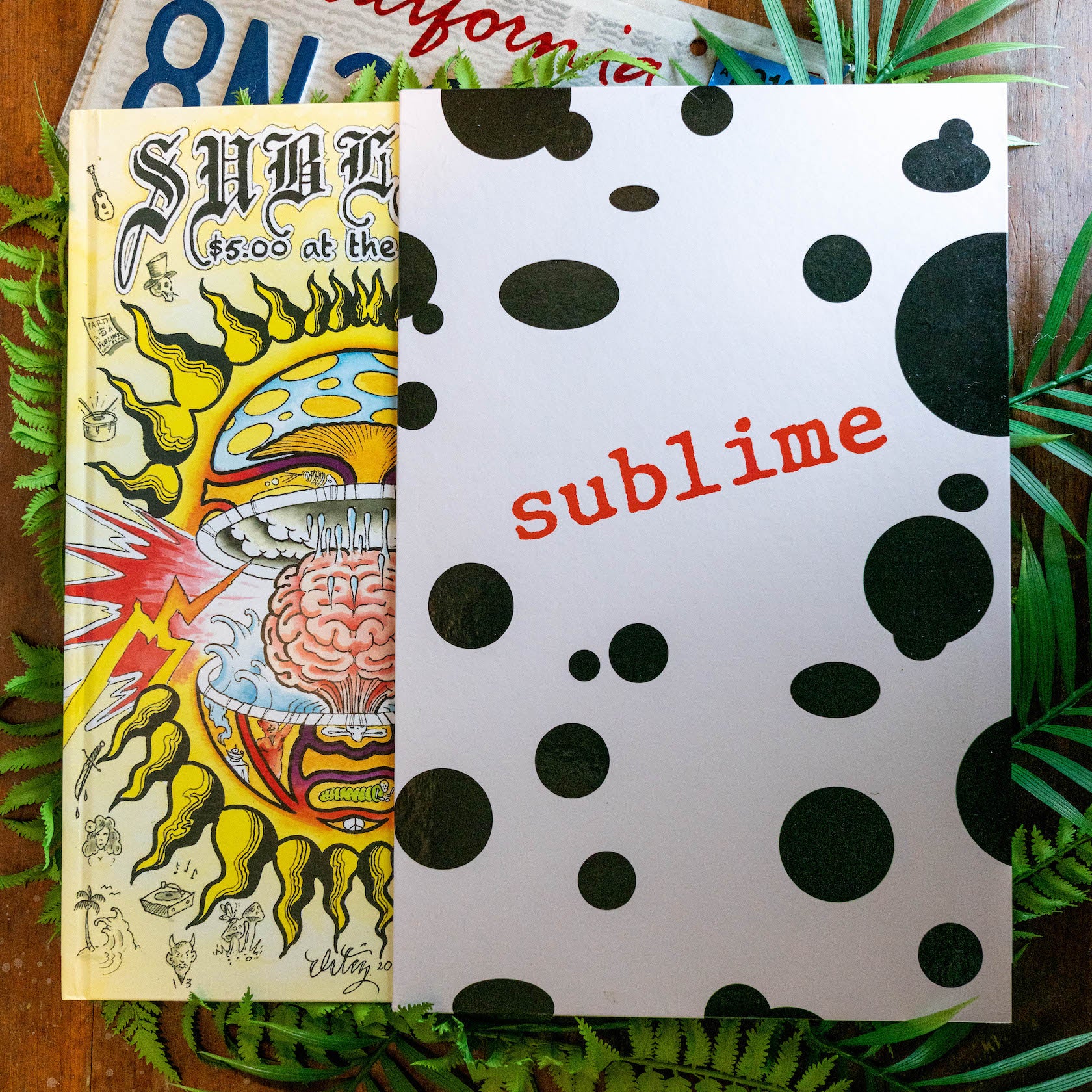 Sublime: $5 at the Door - Deluxe Book - Image 2
